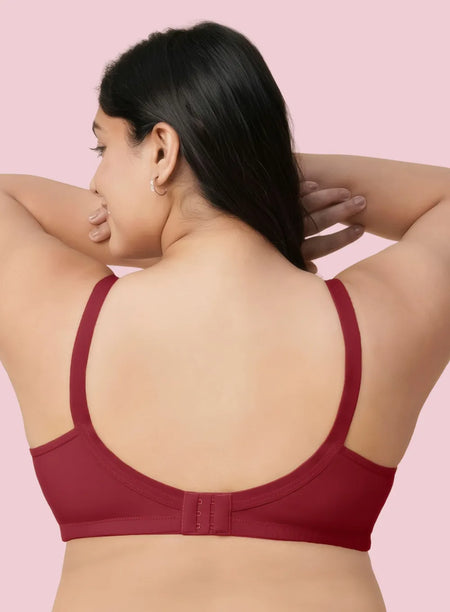 #color_maroon