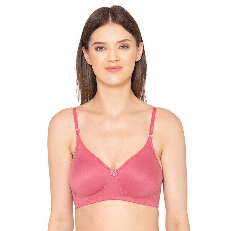 Women's Pack of 2 seamless Non-Padded, Non-Wired Bra (COMB03-HOT PINK-&-MAUVE)