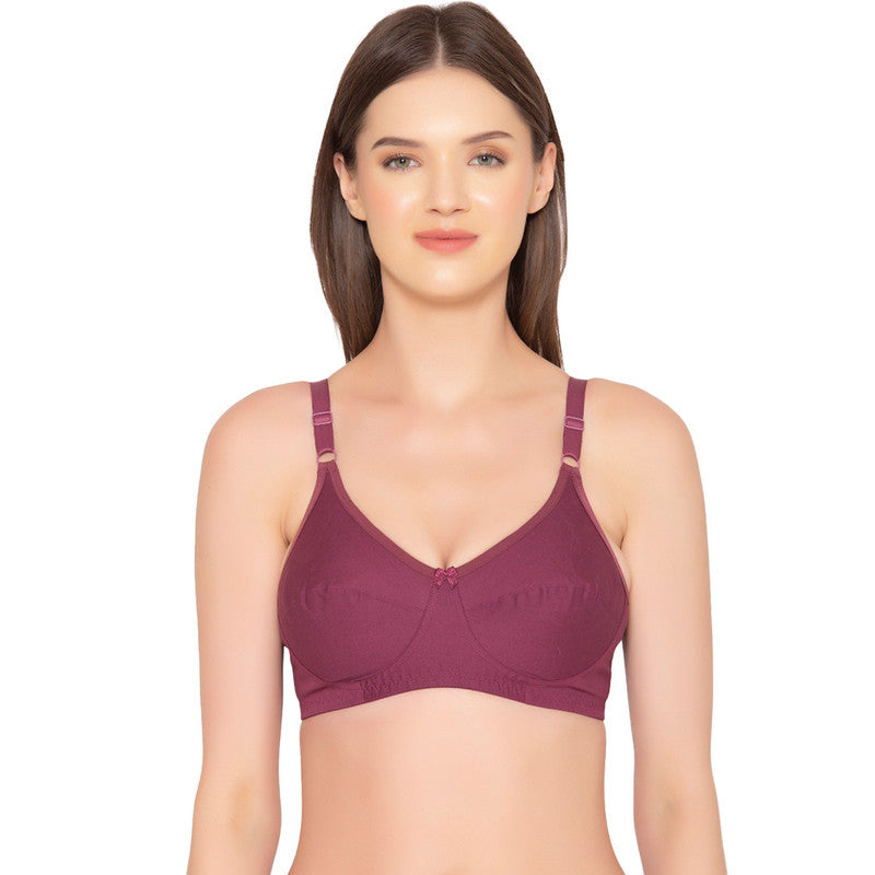 Women's Full Support Non Padded Non Wired Plus Size Basic Bra (BR041-WINE)