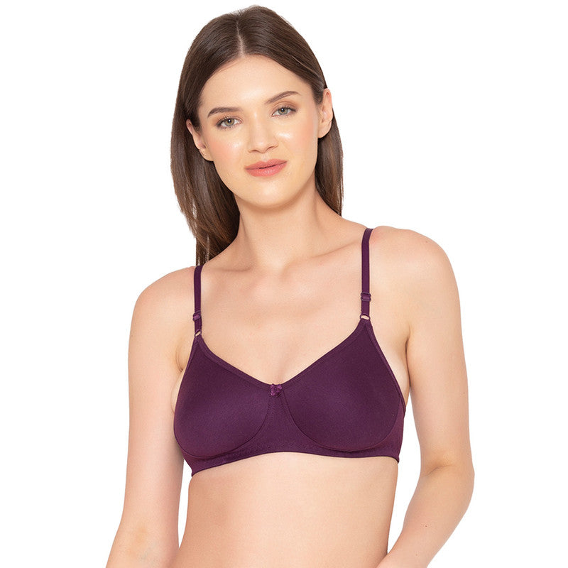 Women’s Pack of 2 seamless Non-Padded, Non-Wired Bra (COMB09-WINE)