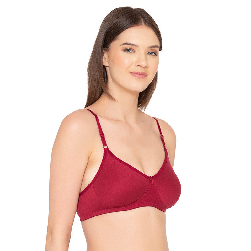 Women’s Pack of 2 seamless Non-Padded, Non-Wired Bra (COMB09-MAROON)