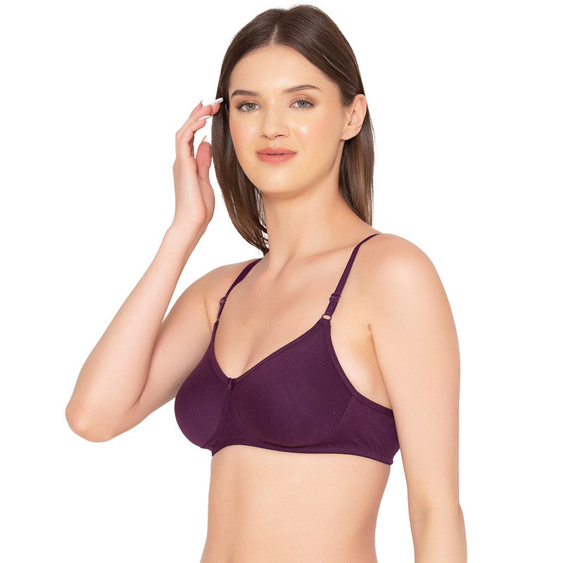 Women’s Pack of 2 seamless Non-Padded, Non-Wired Bra (COMB09-WINE & ROYAL BLUE)