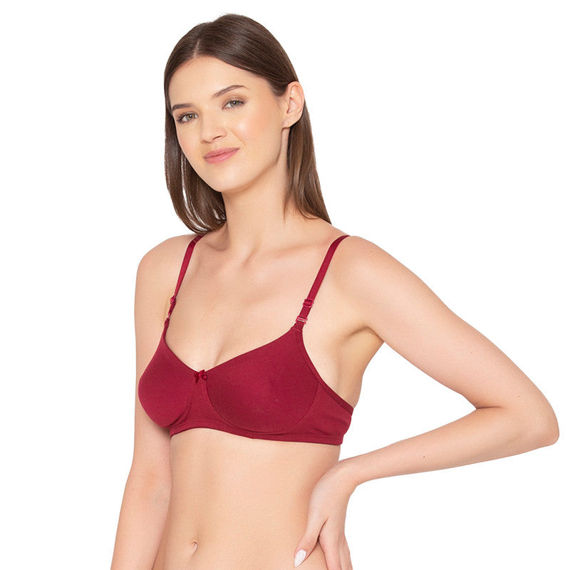 Women’s Pack of 2 seamless Non-Padded, Non-Wired Bra (COMB10-MAROON)