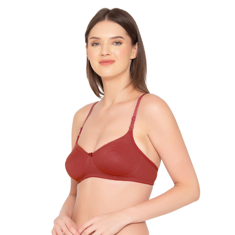 Women’s seamless Non-Padded, Non-Wired Bra (BR014-MAUVE)