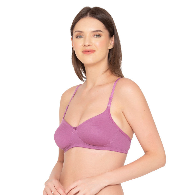 Women’s Pack of 2 seamless Non-Padded, Non-Wired Bra (COMB10-VIOLET & WINE)