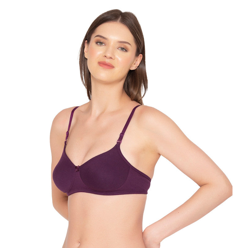 Women’s Pack of 2 seamless Non-Padded, Non-Wired Bra (COMB10-WINE & HOT PINK)