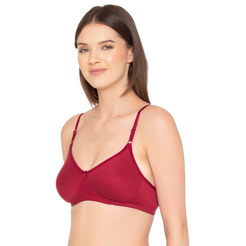 Women’s Pack of 2 seamless Non-Padded, Non-Wired Bra (COMB09-MAROON & STRAWBERRY)