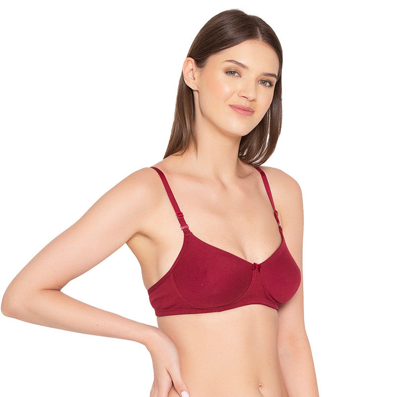 Women’s Pack of 2 seamless Non-Padded, Non-Wired Bra (COMB10-MAROON)