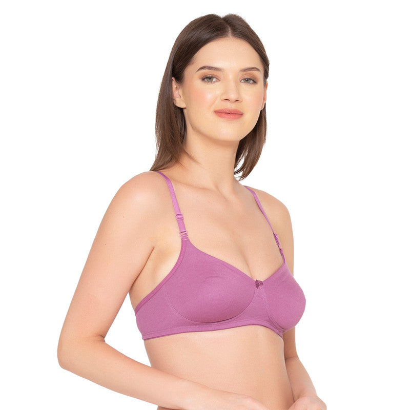 Women’s Pack of 2 seamless Non-Padded, Non-Wired Bra (COMB10-VIOLET & BLACK)