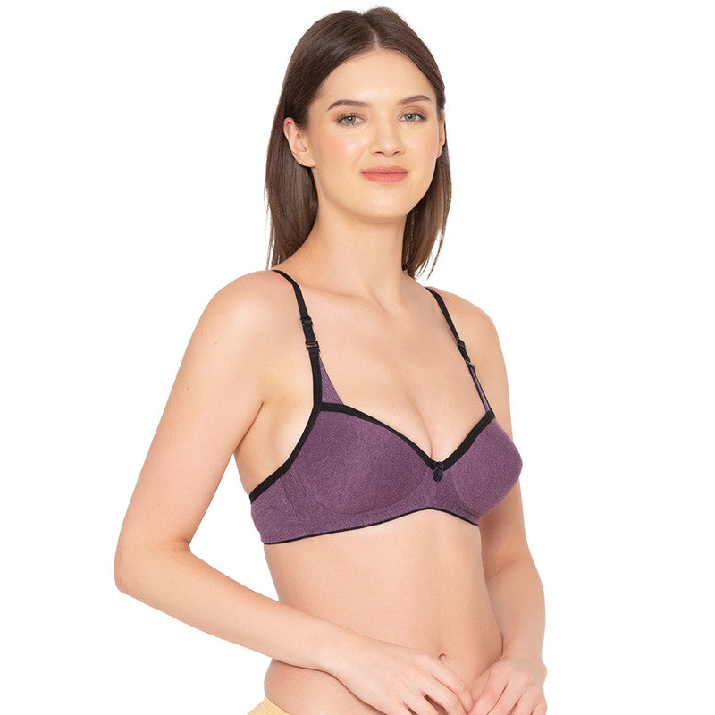 Groversons Paris Beauty Women's Pack of 2 Padded, Non-Wired, Seamless T-Shirt Bra (COMB32-WINE)