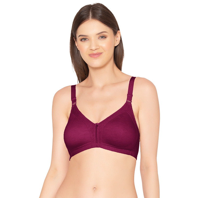 Quality Lingerie Products – A Must Have for Every Woman, Groversons, Lingerie Products