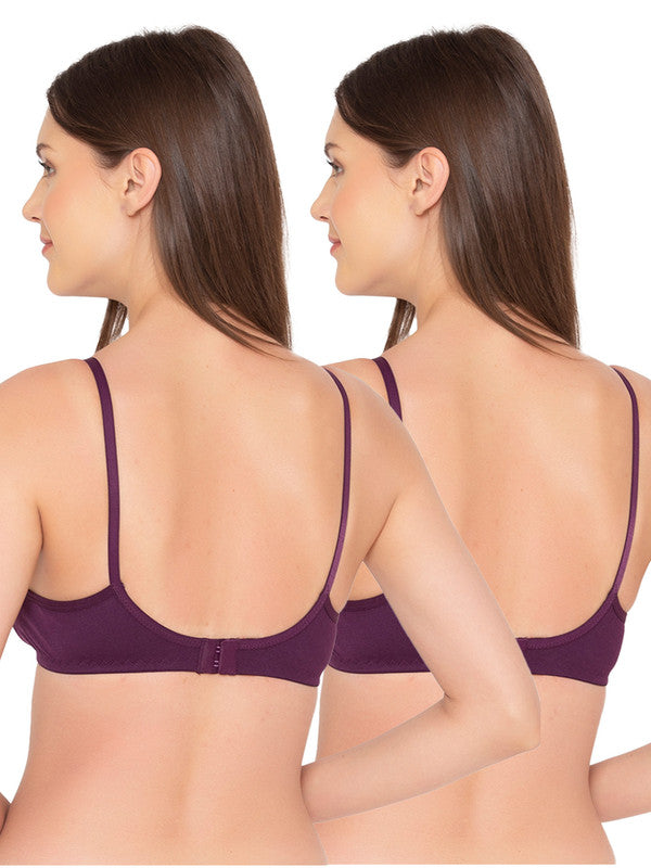 Women’s Pack of 2 seamless Non-Padded, Non-Wired Bra (COMB09-WINE)