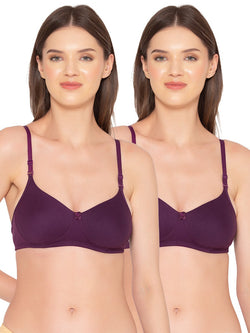 Women’s Pack of 2 seamless Non-Padded, Non-Wired Bra (COMB10-WINE)