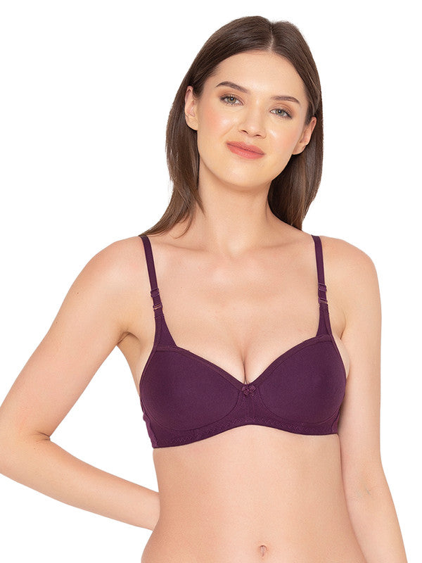 Groversons Paris Beauty Women's Pack of 2 Padded, Non-Wired, Seamless T-Shirt Bra (COMB25-MAROON & Wine)