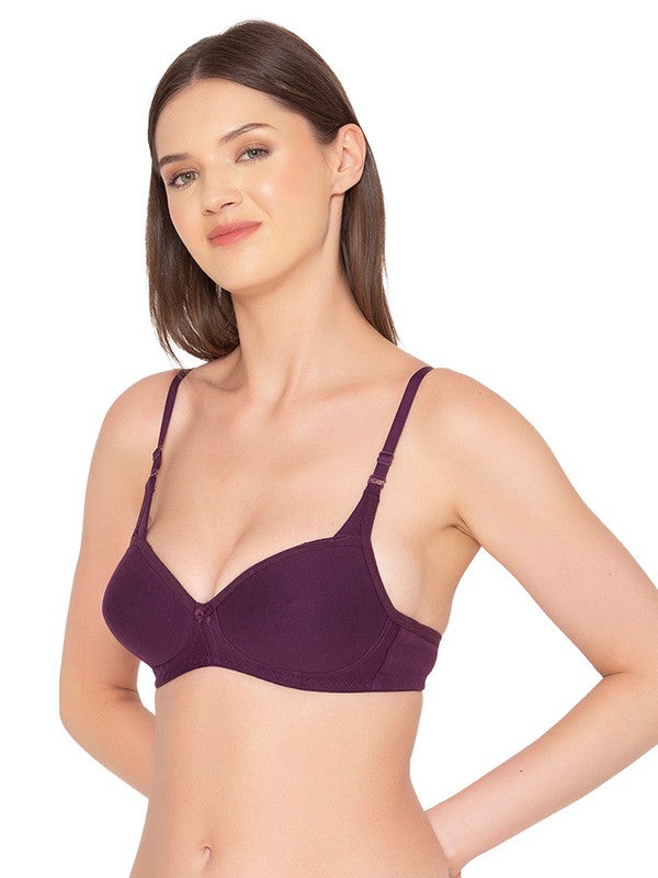 Groversons Paris Beauty Women's Pack of 2 Padded, Non-Wired, Seamless T-Shirt Bra (COMB25-WHITE & Wine)